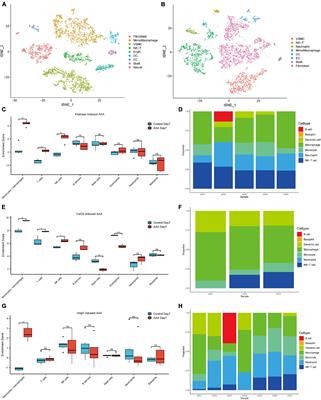 Identification of key monocytes/macrophages related gene set of the early-stage abdominal aortic aneurysm by integrated bioinformatics analysis and experimental validation